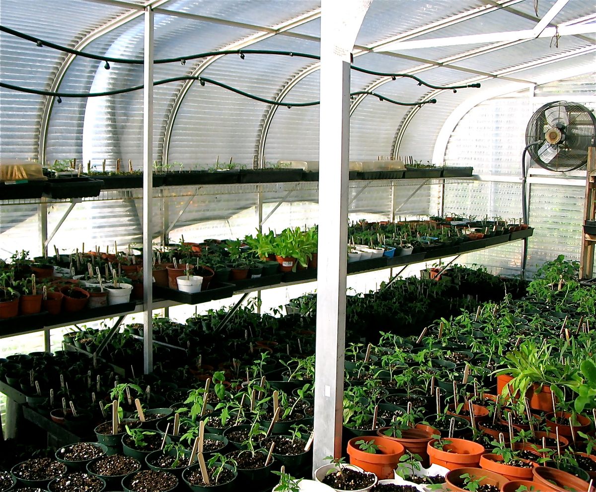 A Garden In Every School