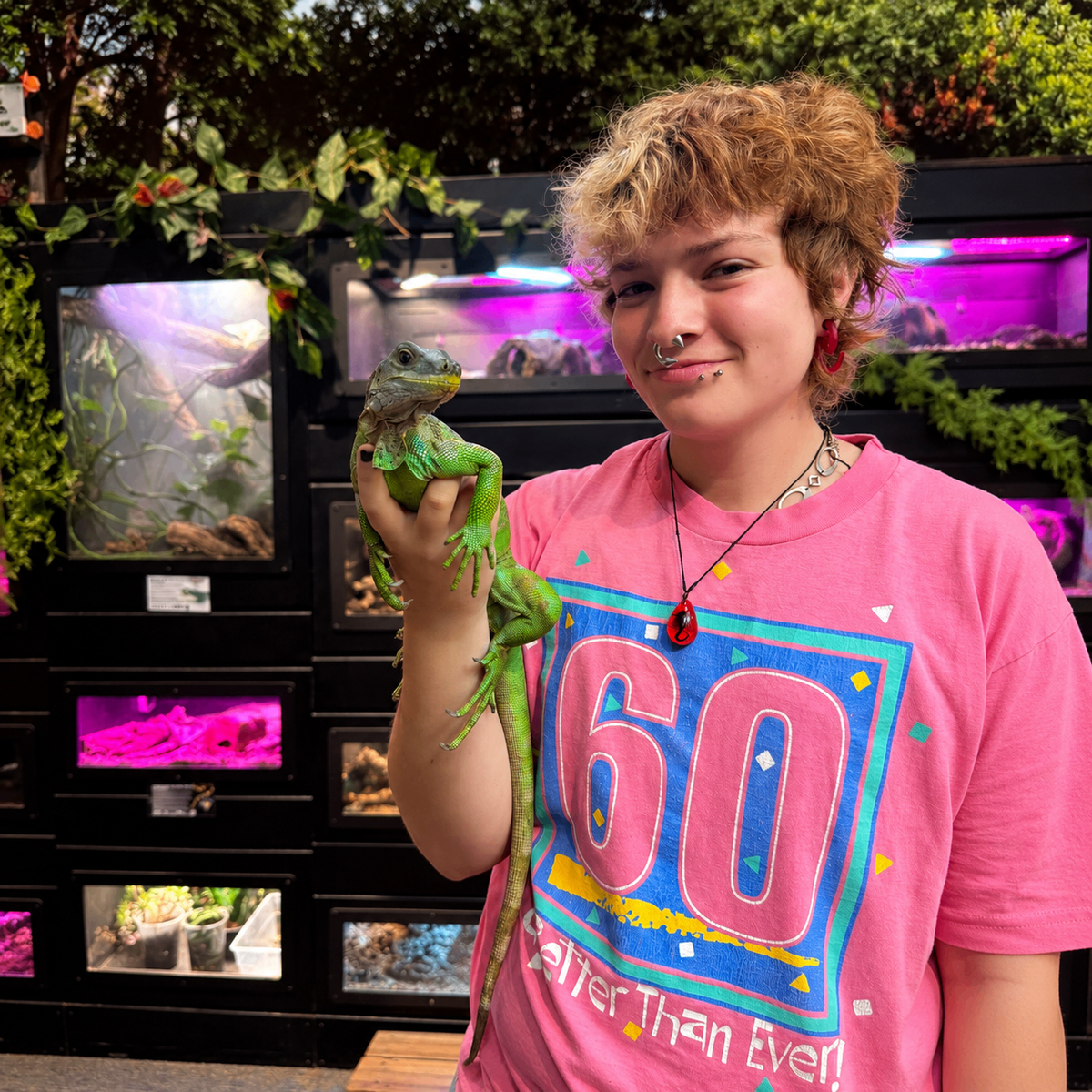 “Will This Iguana Jump on Me?”: A Visit with Crow Saidel at the Petaluma High School Wildlife Museum