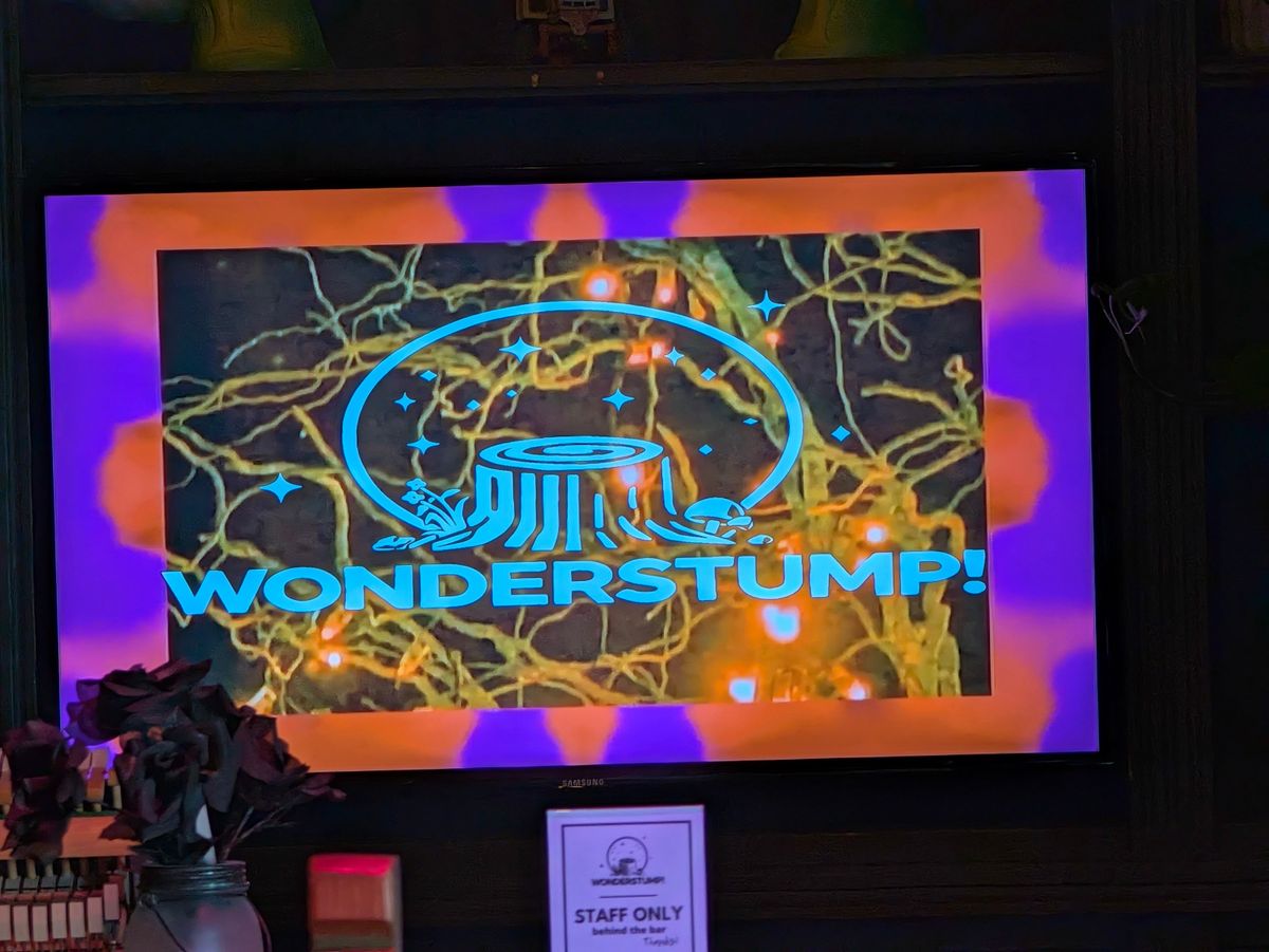 Wonderstump: What is it, and should you take your kids?