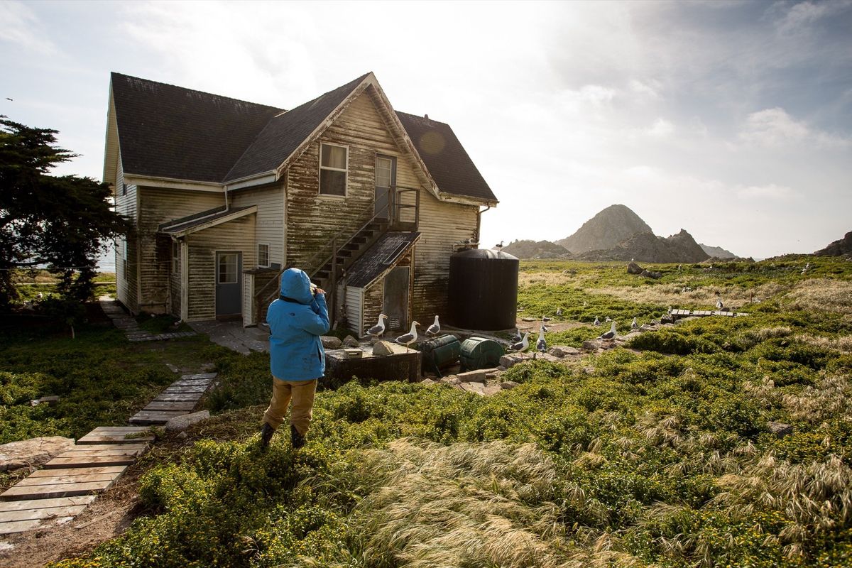 A call from the Farallon Islands