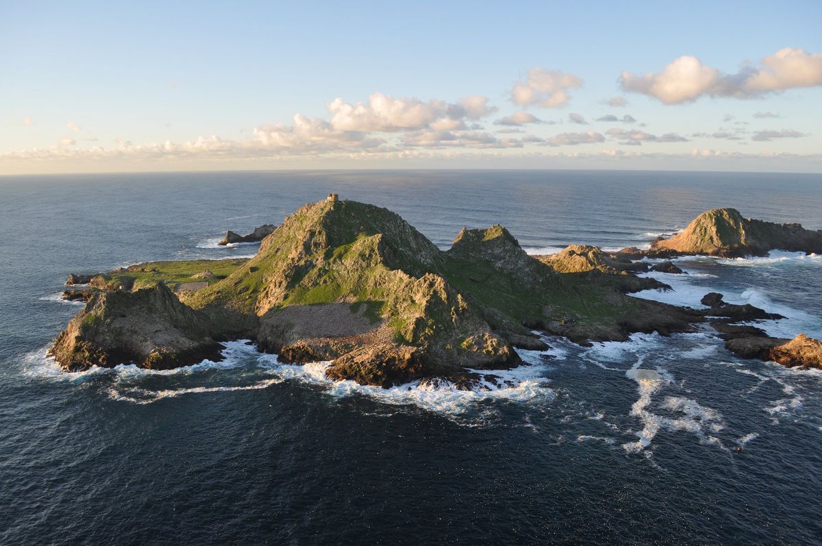 A call from the Farallon Islands