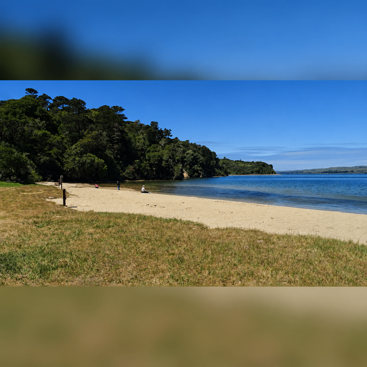 Heatwave Alert: Rivers, Pools, Beaches