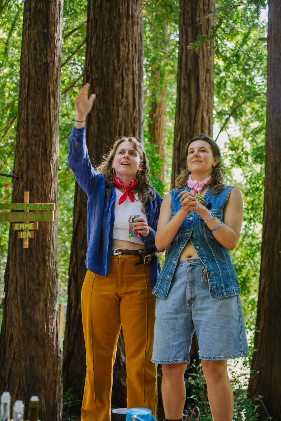 The Story Behind Cider Circus