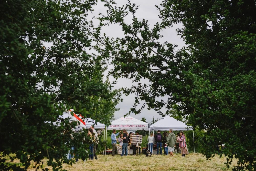 The Story Behind Cider Circus